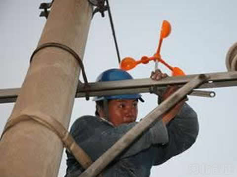 �L(f��ng)���(q��)�B(ni��o)���ĬF(xi��n)��(ch��ng)��(y��ng)��